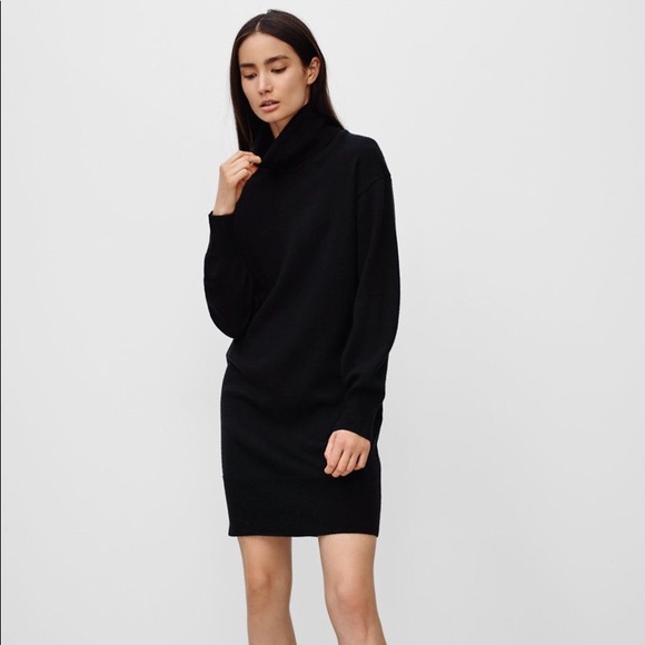 aritzia turtleneck sweater dress